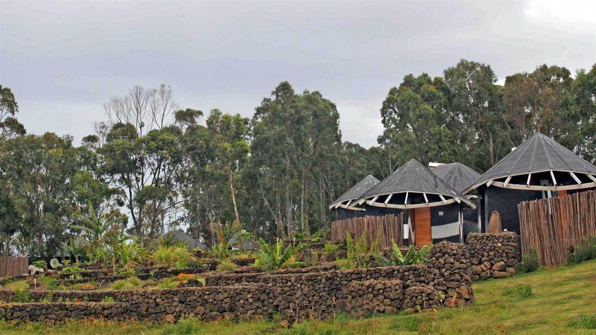 Altiplanico Isla De Pascua Hotel Hanga Roa Luaran gambar